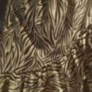 Foto de perfil de Fanni Josefina Carrera Marcano